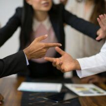 Case Study 2 Navigating Dyad Partnerships